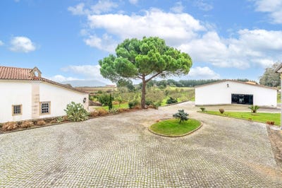/international/pt/ferreira-do-zezere-santarem-310101443562/