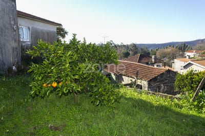 /international/pt/sever-do-vouga-aveiro-310097305807/?lang=en