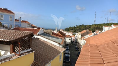 /international/pt/santiago-do-cacem-santa-cruz-e-sao-bartolomeu-da-serra-santiago-do-cacem-setubal-municipality-310103766490/