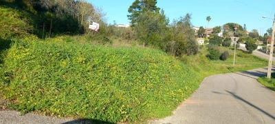 /international/pt/coimbra-lisbon-310101355037/?lang=fr
