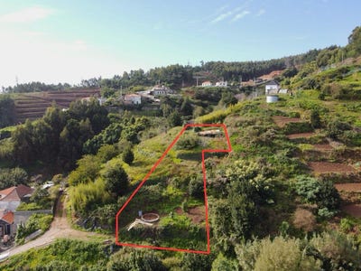 /international/pt/ribeiro-do-louro-ilha-da-madeira-madeira-310101599563/