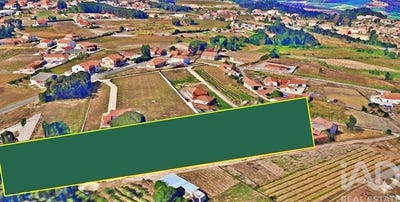 /international/pt/nadadouro-leiria-310106261554/