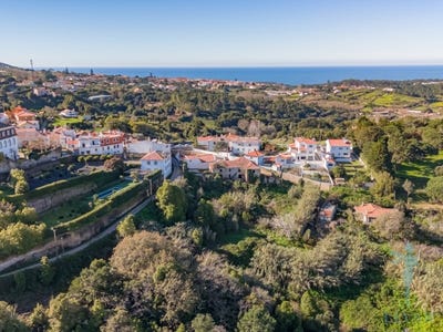 /international/pt/colares-lisbon-310098114956/