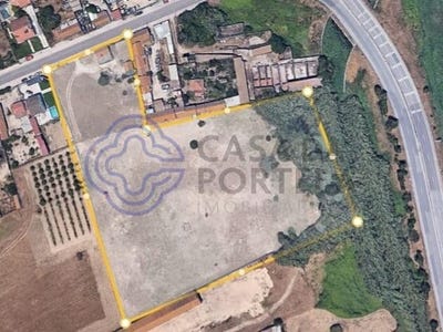 /international/pt/montijo-setubal-municipality-310108263431/