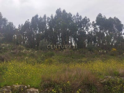 /international/pt/ines-velha-escalos-de-cima-castelo-branco-310105248867/
