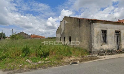 /international/pt/oia-oliveira-do-bairro-aveiro-310105403625/