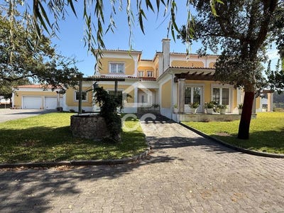 /international/pt/pataias-leiria-310103179527/