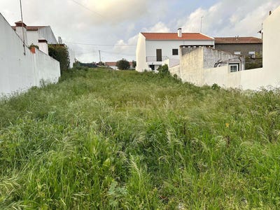 /international/pt/seda-beja-120091015287/