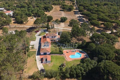 /international/pt/alcacer-do-sal-stª-maria-do-castelo-e-santiago-e-stª-susana-alcacer-do-sal-setubal-municipality-310108370713/