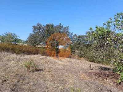/international/pt/azinhal-faro-310105011335/
