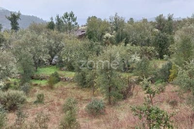 /international/pt/sao-joao-da-pesqueira-viseu-310104169375/