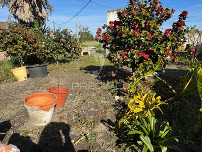 /international/pt/pontes-gambia-alto-da-guerra-setubal-setubal-municipality-310097768937/