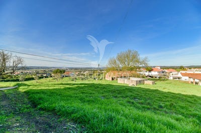 /international/pt/sao-pedro-de-tomar-tomar-santarem-120090343441/