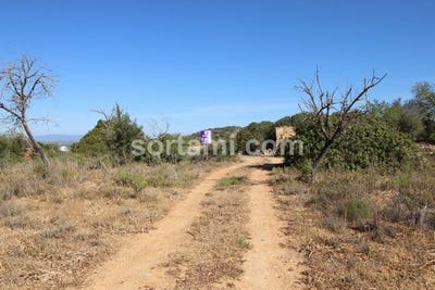/international/pt/albufeira-faro-120086462907/
