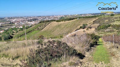 /international/pt/s-pedro-e-santiago-s-maria-e-s-miguel-e-matacaes-torres-vedras-lisbon-310097072713/