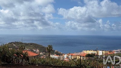 /international/pt/camara-de-lobos-madeira-310108316391/
