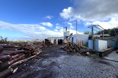 /international/pt/ribeira-grande-azores-310104038574/