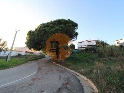 /international/pt/gambelas-faro-faro-120086454372/