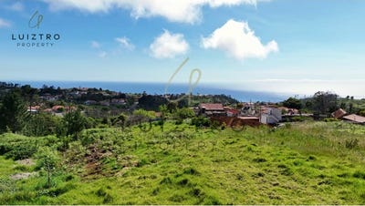 /international/pt/prazeres-madeira-310107557989/