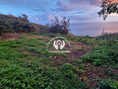 /international/pt/ribeira-brava-madeira-310108484777/