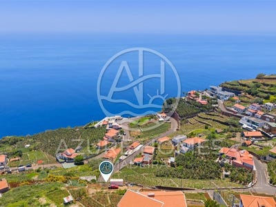 /international/pt/canhas-madeira-310108600599/