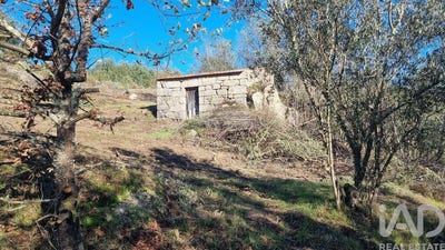 /international/pt/guarda-guarda-310108940482/