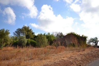 /international/pt/loule-faro-310103080906/