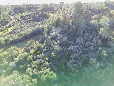 /international/pt/arneiro-das-milharicas-santarem-santarem-310095540489/