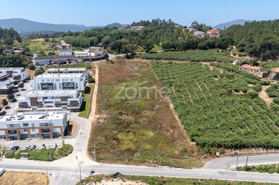 /international/pt/castelo-de-paiva-aveiro-310101157646/?lang=en
