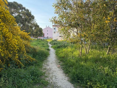 /international/pt/rua-joao-da-silva-marques-caparica-portugal-caparica-e-trafaria-setubal-municipality-310104917503/