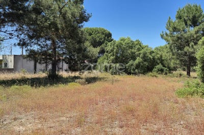/international/pt/seixal-setubal-municipality-310099942767/