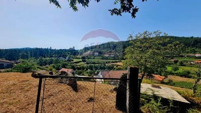 /international/pt/vieira-do-minho-braga-310106287103/