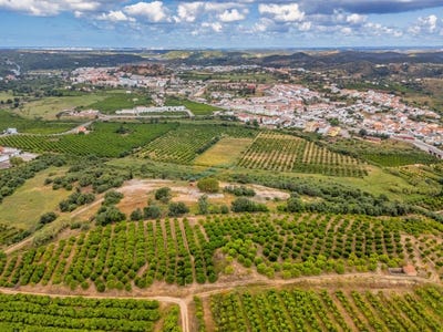 /international/pt/silves-faro-310108044223/