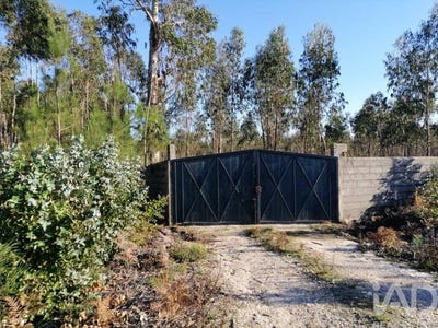 /international/pt/leiria-leiria-310106482632/