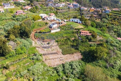 /international/pt/santa-cruz-madeira-310108277388/