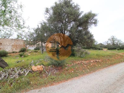/international/pt/pechao-faro-310105014880/