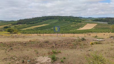 /international/pt/rolica-leiria-310101016360/