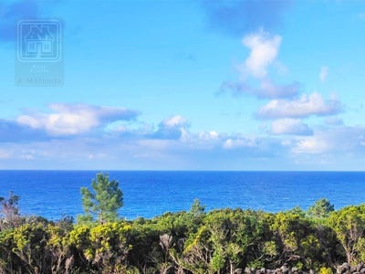 /international/pt/santo-antonio-azores-310108990821/