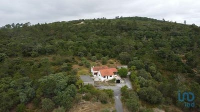 /international/pt/ferreira-do-zezere-santarem-310100087095/