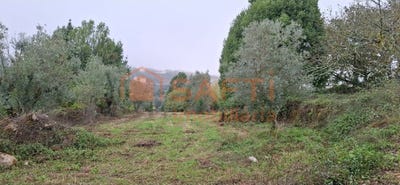 /international/pt/sao-miguel-lisbon-310103218681/