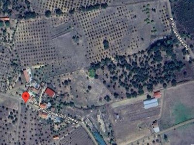 /international/pt/mouriscas-santarem-310100665761/