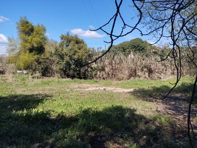 /international/pt/r-conde-alto-mearim-65-2005-almoster-portugal-almoster-santarem-310106708624/