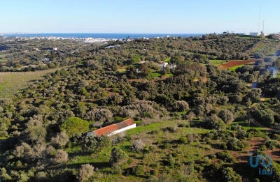 /international/pt/faro-faro-310096190056/