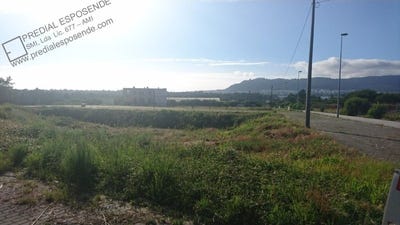 /international/pt/darque-viana-do-castelo-310099548414/