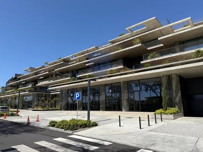 /international/pt/sao-martinho-madeira-310097953088/