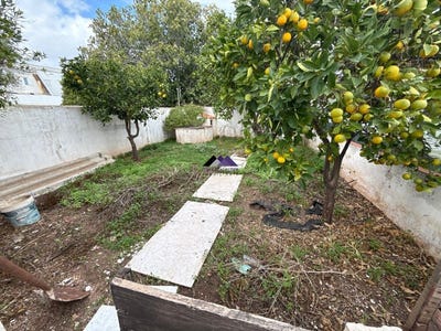 /international/pt/castro-marim-faro-310103664881/