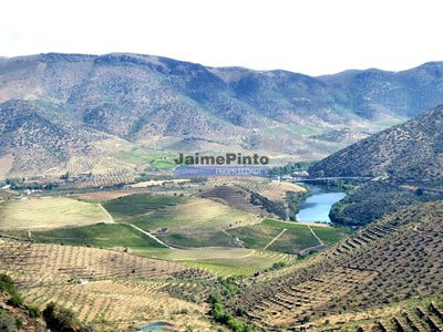 /international/pt/escalhao-guarda-120086447563/