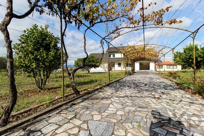 /international/pt/estrada-de-sao-miguel-midoes-coimbra-310108894602/