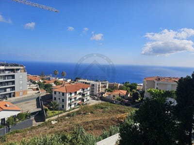 /international/pt/canico-madeira-310101734991/