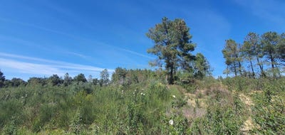 /international/pt/salgueiro-do-campo-castelo-branco-120091019322/